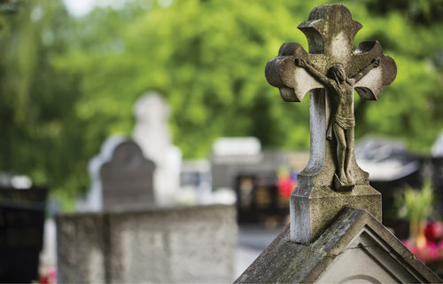 22189mainimage 22189mainimage